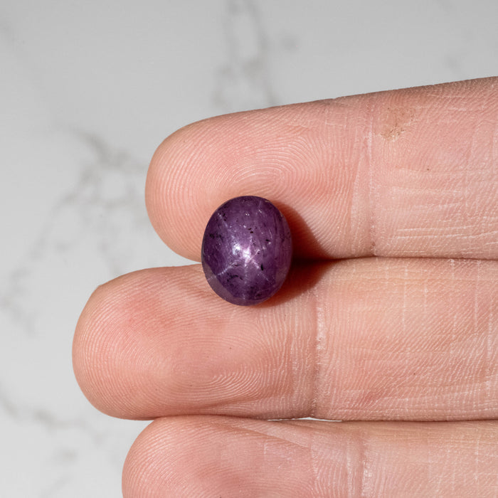 Star Ruby 11.55 ct 12x10mm