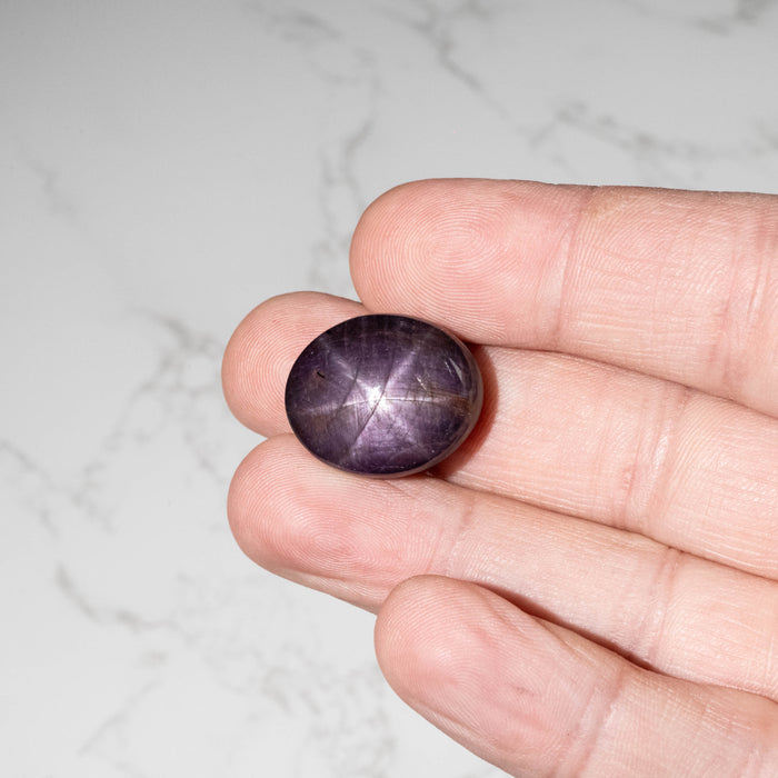 Star Ruby 65.45 ct 22x18mm