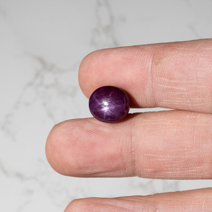 Star Ruby 12.95 ct 12x10mm