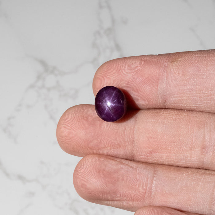 Star Ruby 12.95 ct 12x10mm