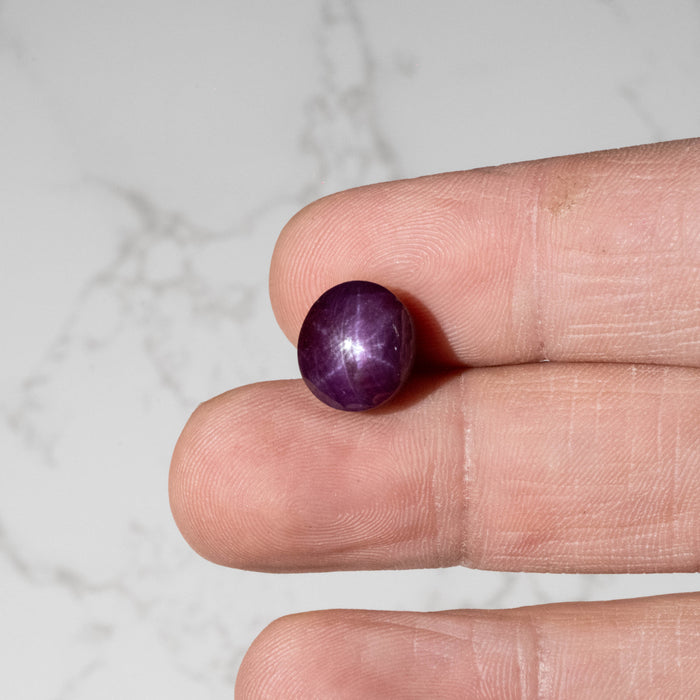 Star Ruby 12.95 ct 12x10mm