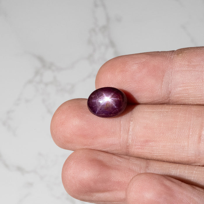 Star Ruby 12.30 ct 13x10mm