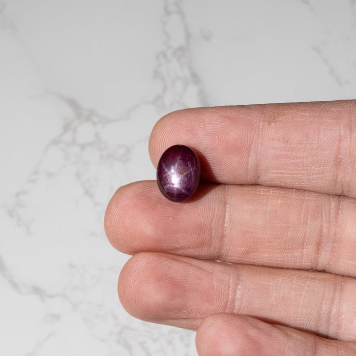 Star Ruby 12.30 ct 13x10mm