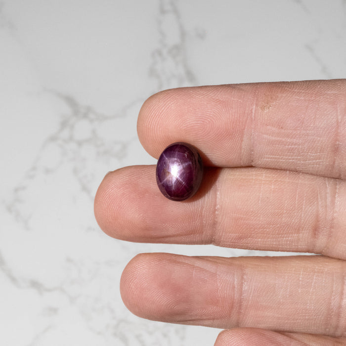 Star Ruby 12.30 ct 13x10mm