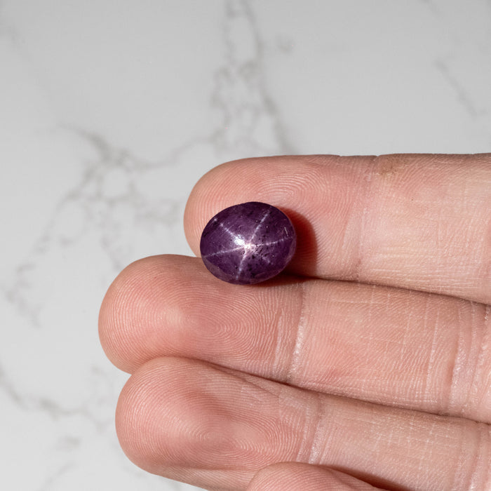 Star Ruby 16.40 ct 13x11mm