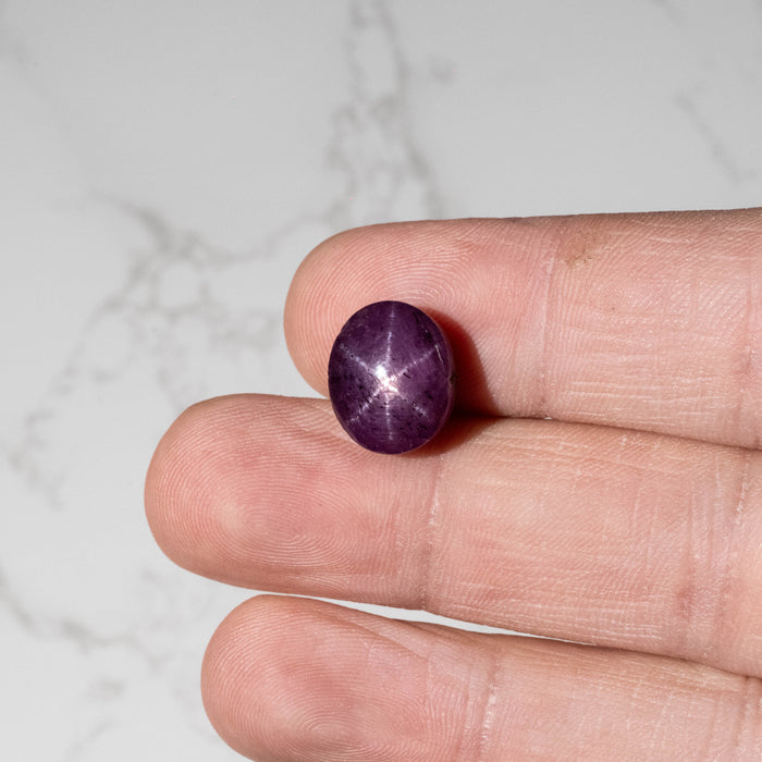 Star Ruby 16.40 ct 13x11mm