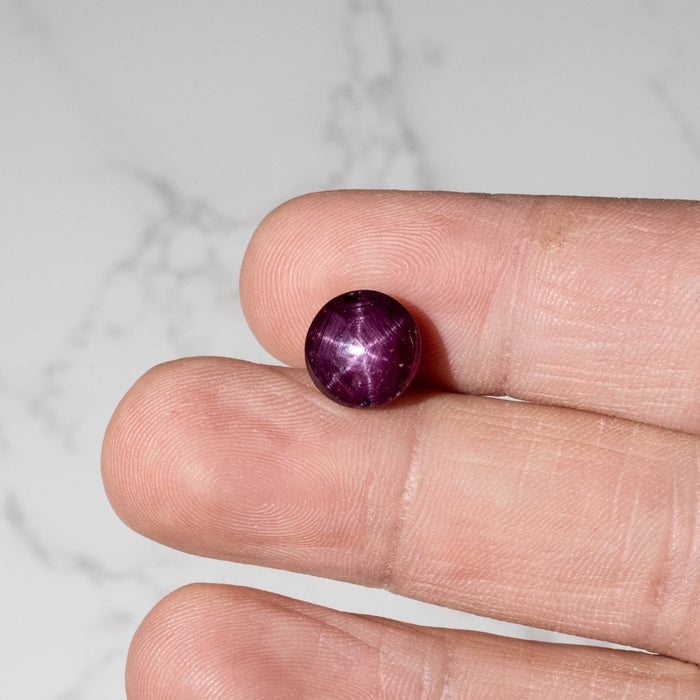 Star Ruby 8.70 ct 10.50mm