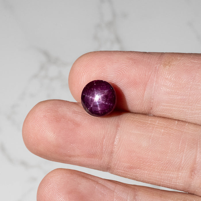 Star Ruby 8.70 ct 10.50mm