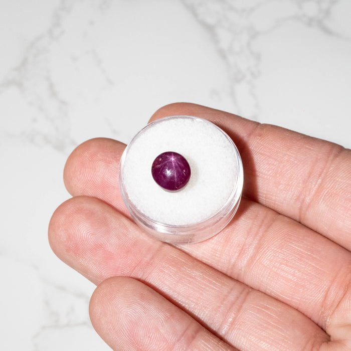 Star Ruby 8.05 ct 9x8mm