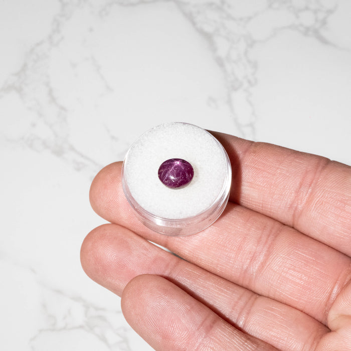 Star Ruby 5.60 ct 9.5x8mm