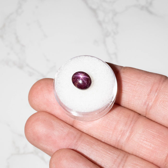 Star Ruby 5.80 ct 10x8mm