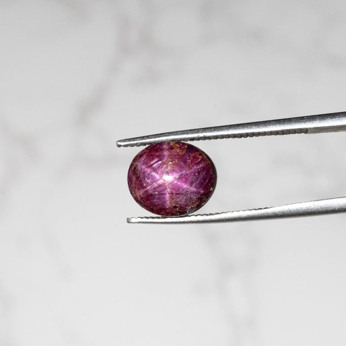 Star Ruby 5.80 ct 10x8mm