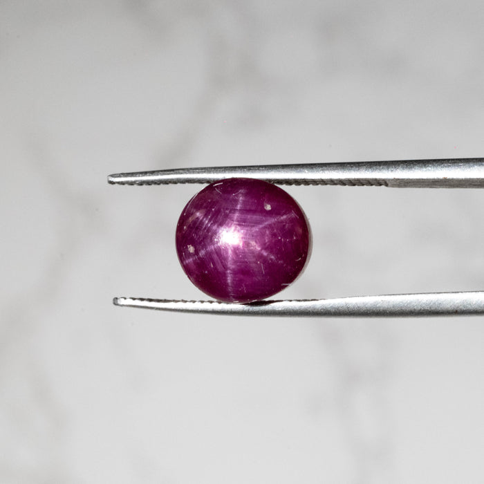Star Ruby 8.05 ct 9x8mm