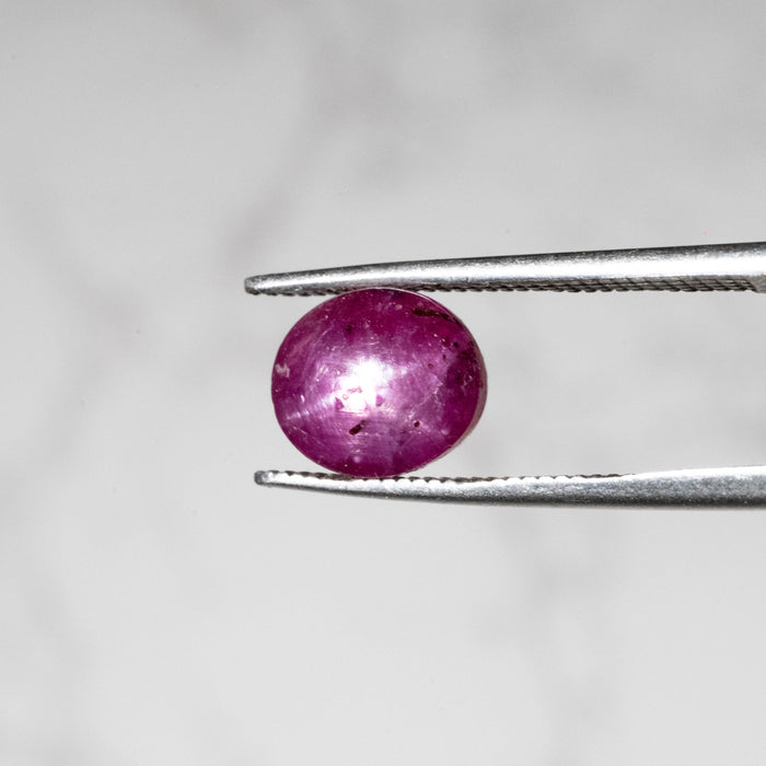 Star Ruby 3.10 ct 8x7mm