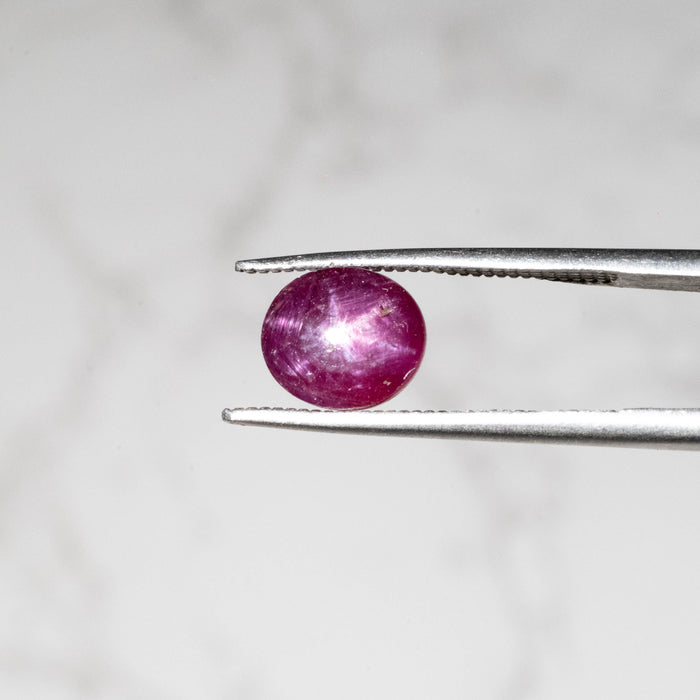 Star Ruby 3.50 ct 8x7mm