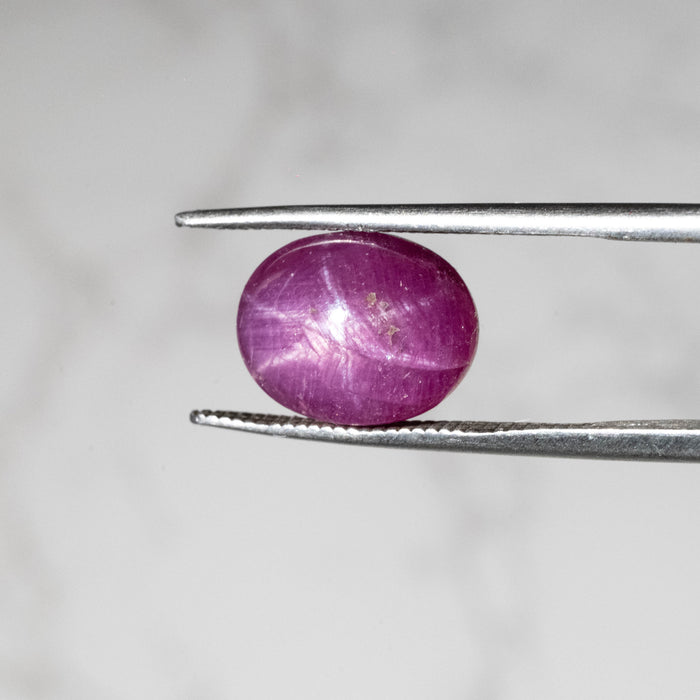 Star Ruby 6.90 ct 11x8mm
