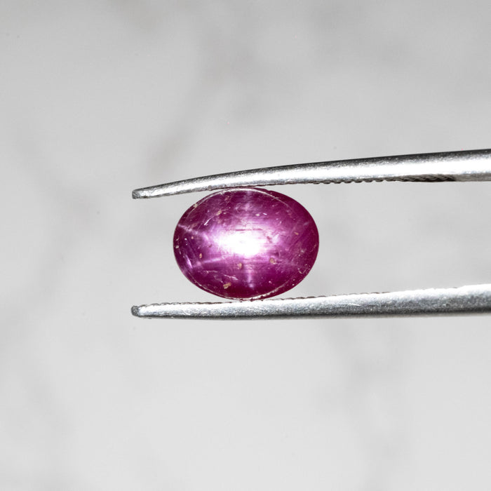 Star Ruby 3.40 ct 8x6mm