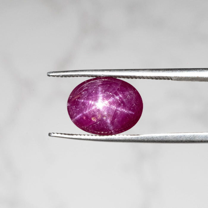 Star Ruby 6.40 ct 12x9mm
