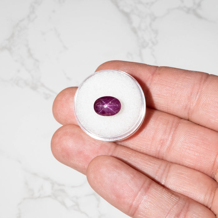 Star Ruby 8 ct 11x8mm