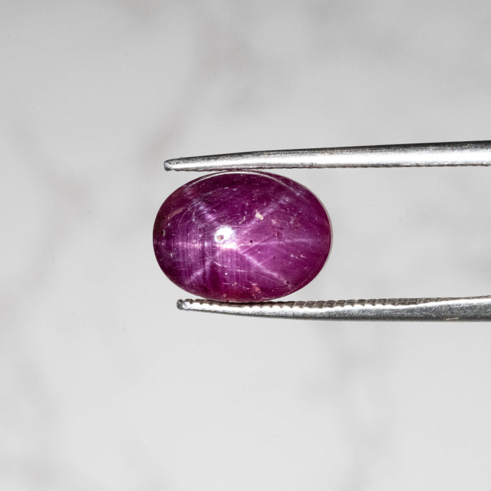 Star Ruby 8 ct 11x8mm