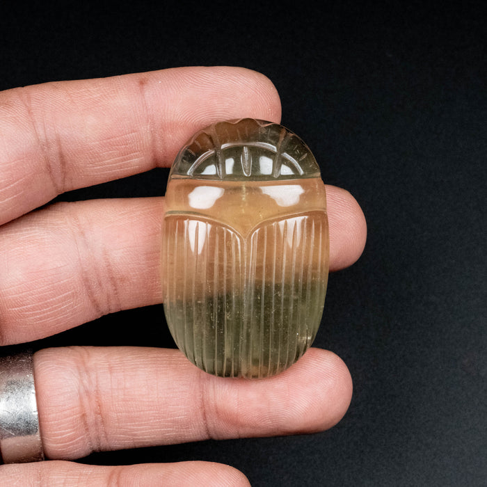 Libyan Desert Glass Scarab Gemstone Carving 29.51 g 49x32mm