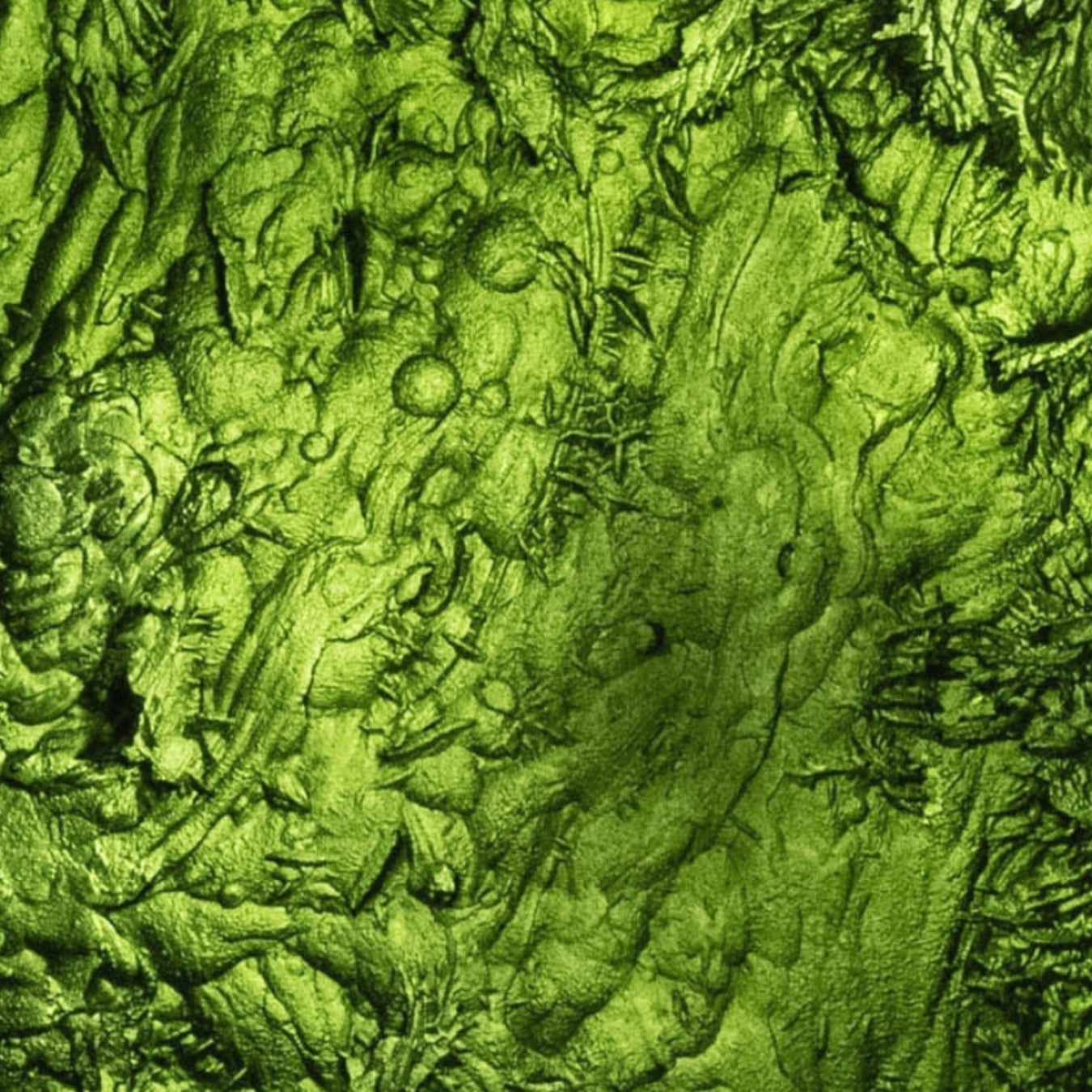 Buy Moldavite Stones and Collections For Sale - InnerVision Crystals