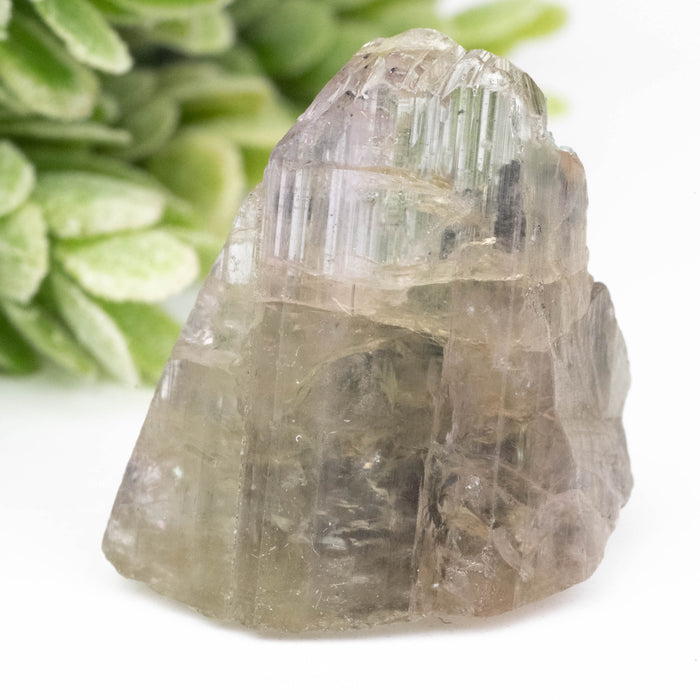Tanzanite Crystal 49.45 ct 25x24mm