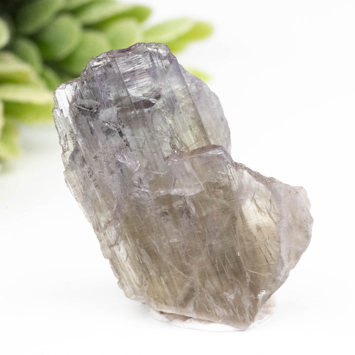 Tanzanite Crystal 29.65 ct 25x20mm