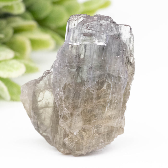 Tanzanite Crystal 29.65 ct 25x20mm