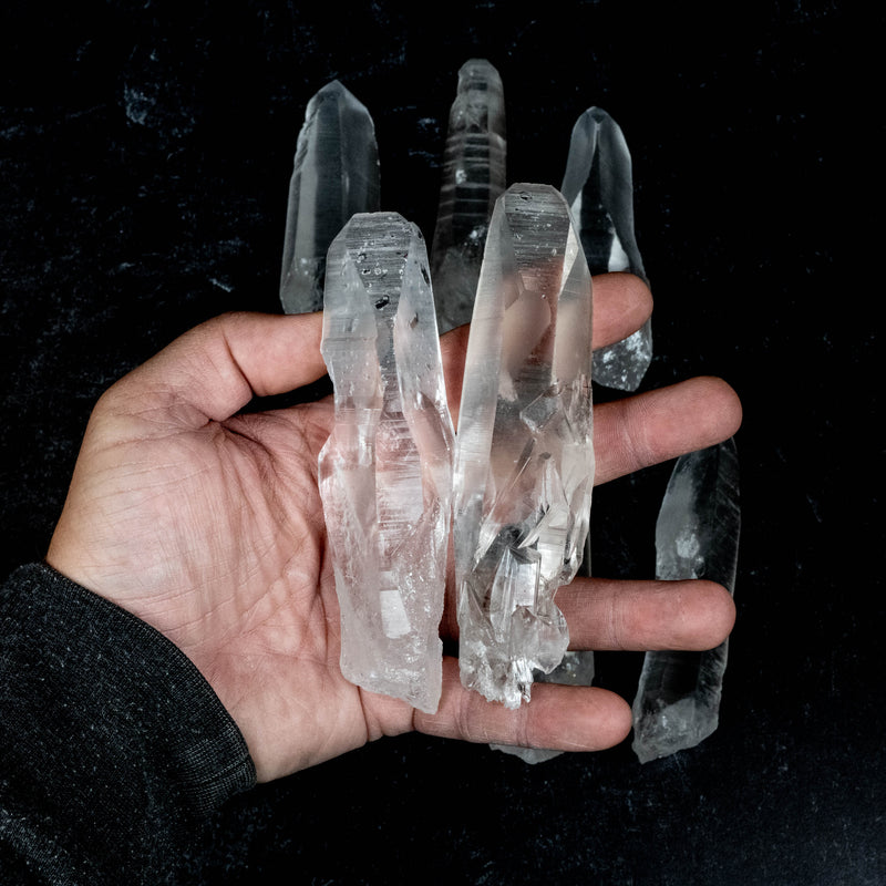 Lemurian Seed Quartz Crystals 1 Kilo 4.5" - 5.2" | Wholesale Lot