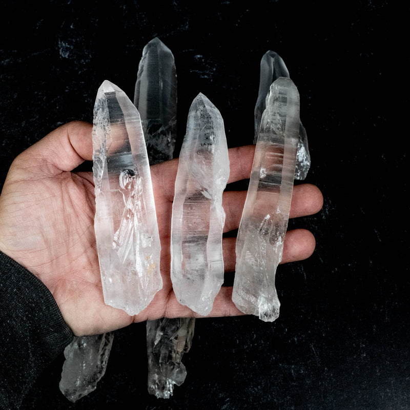 Lemurian Seed Quartz Crystals 1 Kilo 4.5" - 5.2" | Wholesale Lot