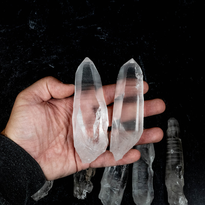 Lemurian Seed Quartz Crystals 1 Kilo 4.5" - 5.2" | Wholesale Lot