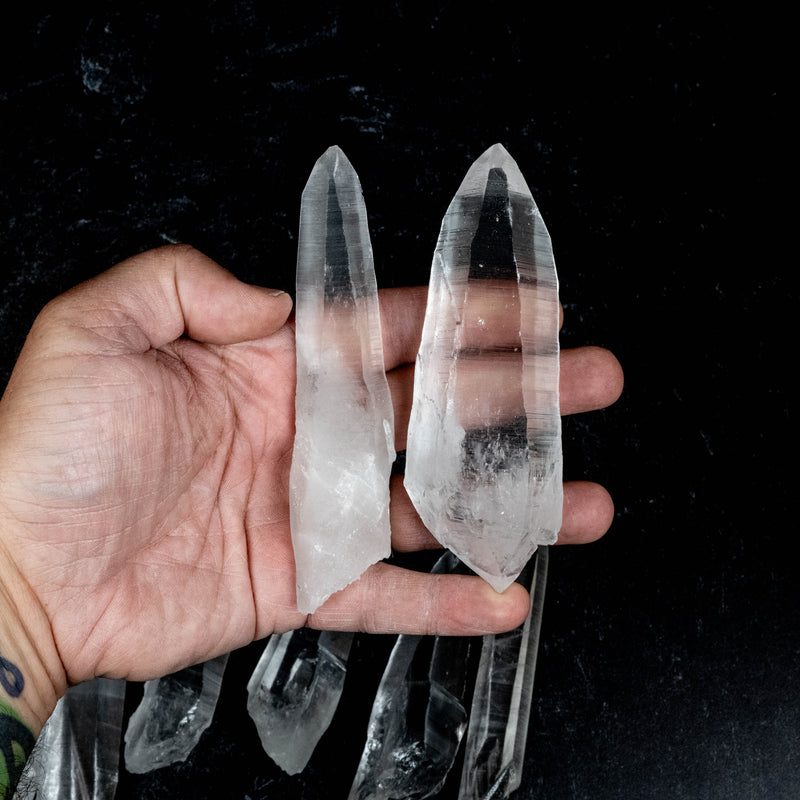 Lemurian Seed Quartz Crystals 1 Kilo 3.9" - 5.2" | Wholesale Lot