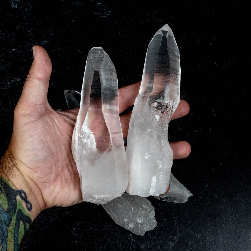 Lemurian Seed Quartz Crystals 1.45 Kilo 6.1" - 7.9" | Wholesale Lot