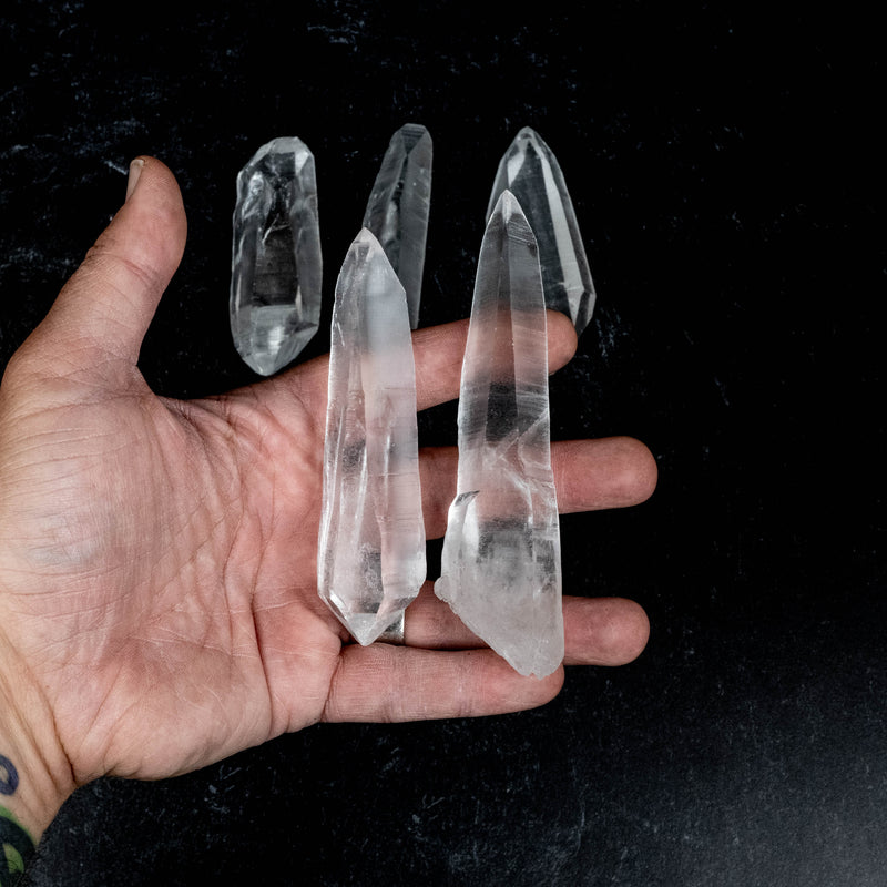 Lemurian Seed Quartz Crystals 785 g 3.5" - 5.3" DT | Wholesale Lot