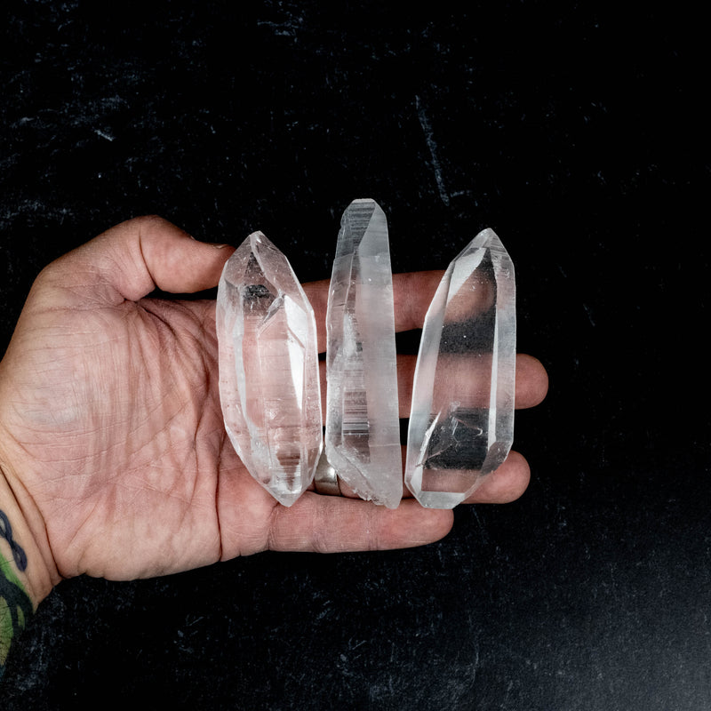 Lemurian Seed Quartz Crystals 785 g 3.5" - 5.3" DT | Wholesale Lot