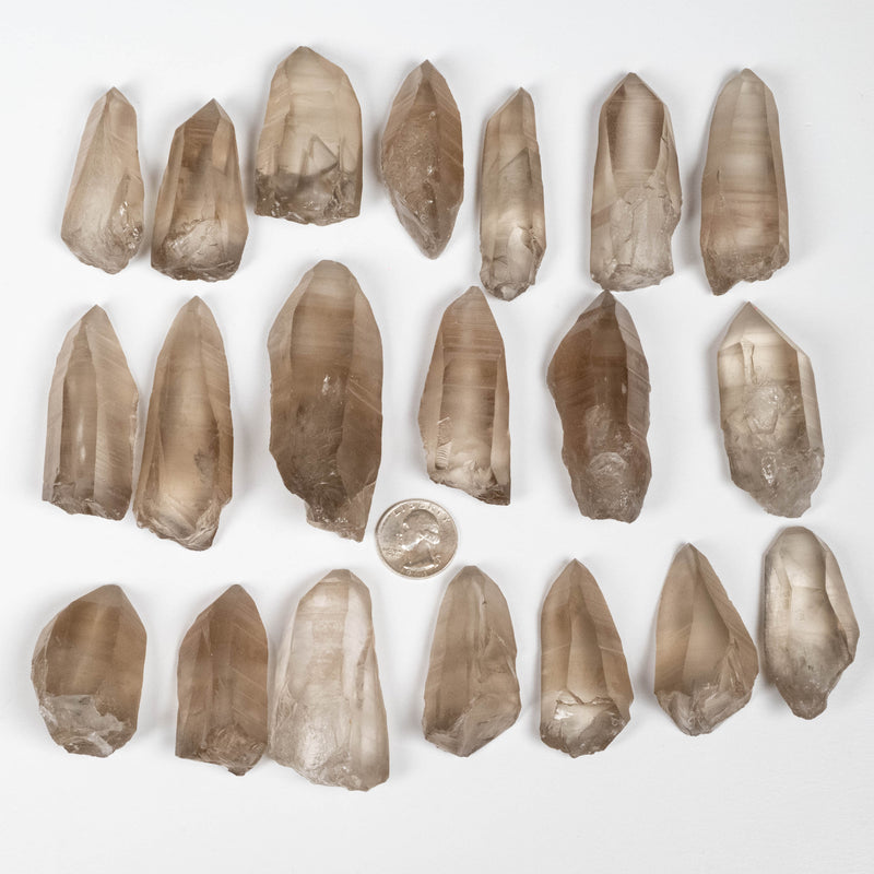 Smoky Lemurian Seed Quartz Crystals 1 Kilo 1.5" - 2.5" | Wholesale Lot