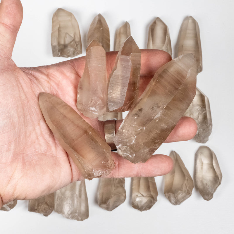 Smoky Lemurian Seed Quartz Crystals 1 Kilo 1.5" - 2.5" | Wholesale Lot
