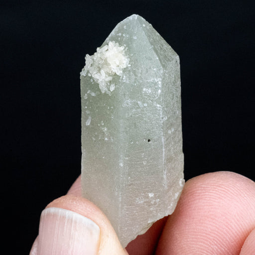 Actinolite in Quartz 11 g 37x17mm - InnerVision Crystals