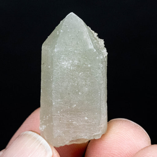 Actinolite in Quartz 11 g 37x17mm - InnerVision Crystals