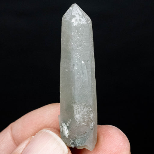 Actinolite in Quartz 11 g 51x13mm - InnerVision Crystals