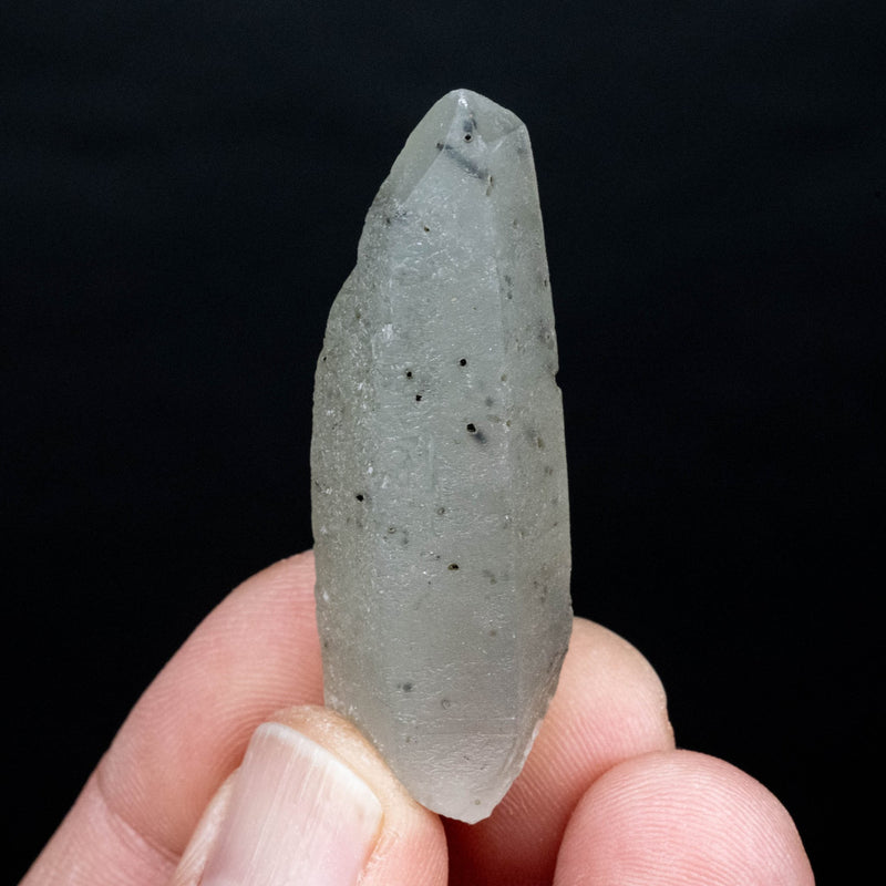 Actinolite in Quartz 15 g 49x17mm - InnerVision Crystals