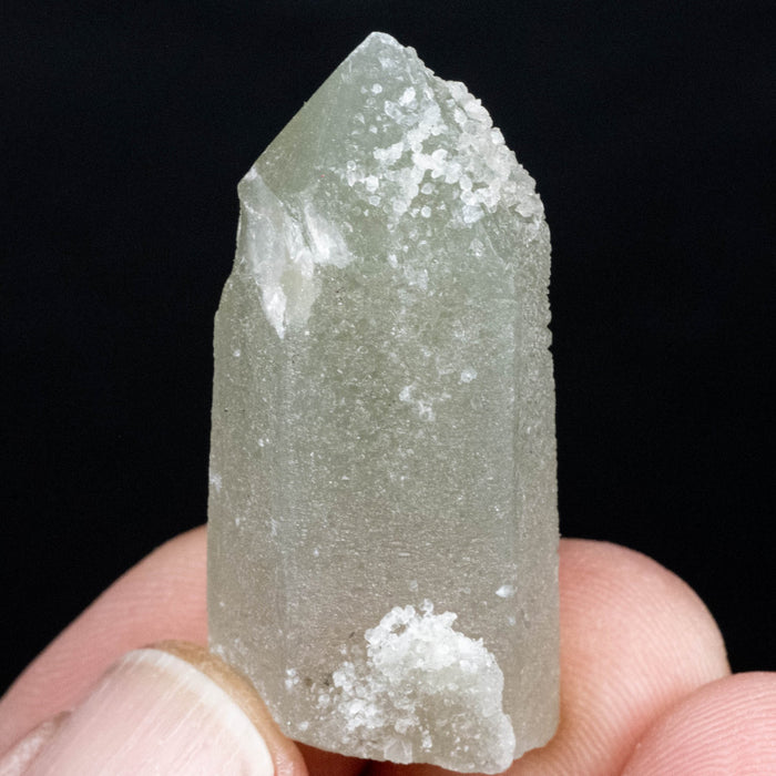 Actinolite in Quartz 17 g 42x19mm - InnerVision Crystals