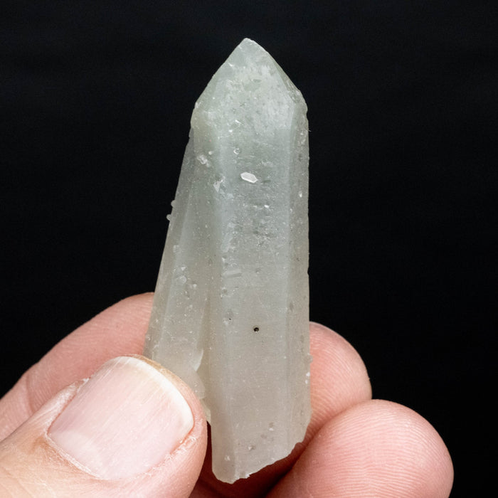 Actinolite in Quartz 17 g 51x20mm - InnerVision Crystals