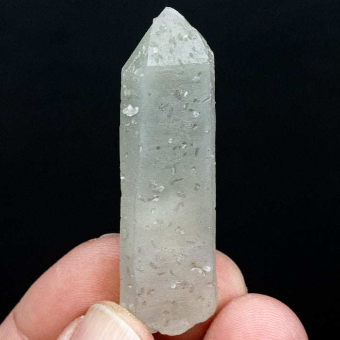 Actinolite in Quartz 17 g 57x17mm - InnerVision Crystals