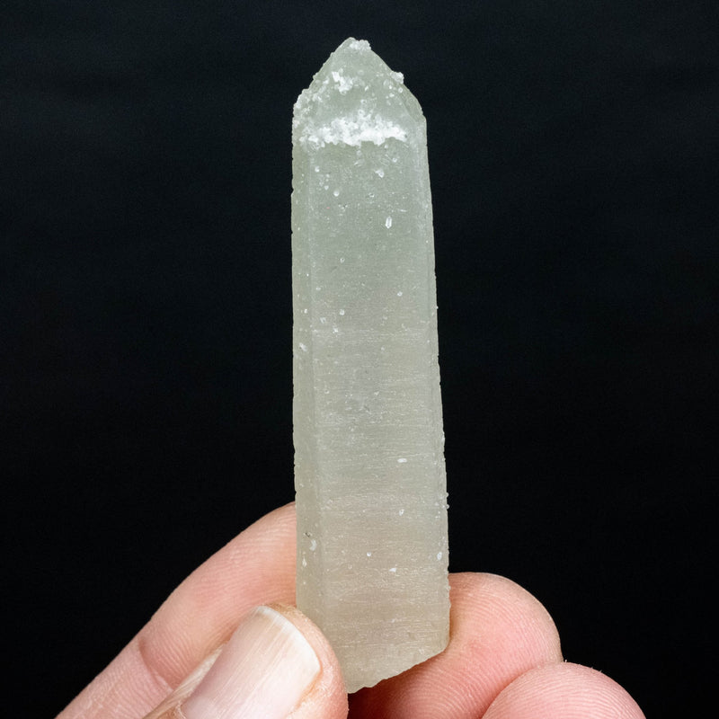 Actinolite in Quartz 17 g 64x11mm - InnerVision Crystals