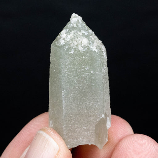 Actinolite in Quartz 20 g 44x18mm - InnerVision Crystals