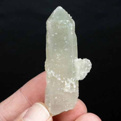 Actinolite in Quartz 25 g 64x26mm - InnerVision Crystals