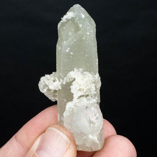Actinolite in Quartz 25 g 64x26mm - InnerVision Crystals