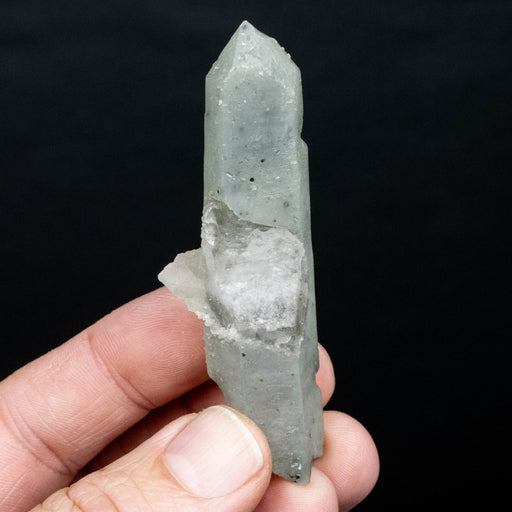 Actinolite in Quartz 36 g 79x26mm - InnerVision Crystals